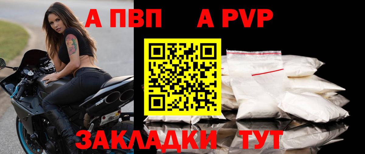 A-PVP СК Новочеркасск